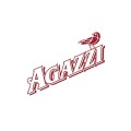 Agazzi