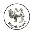 Верблюд